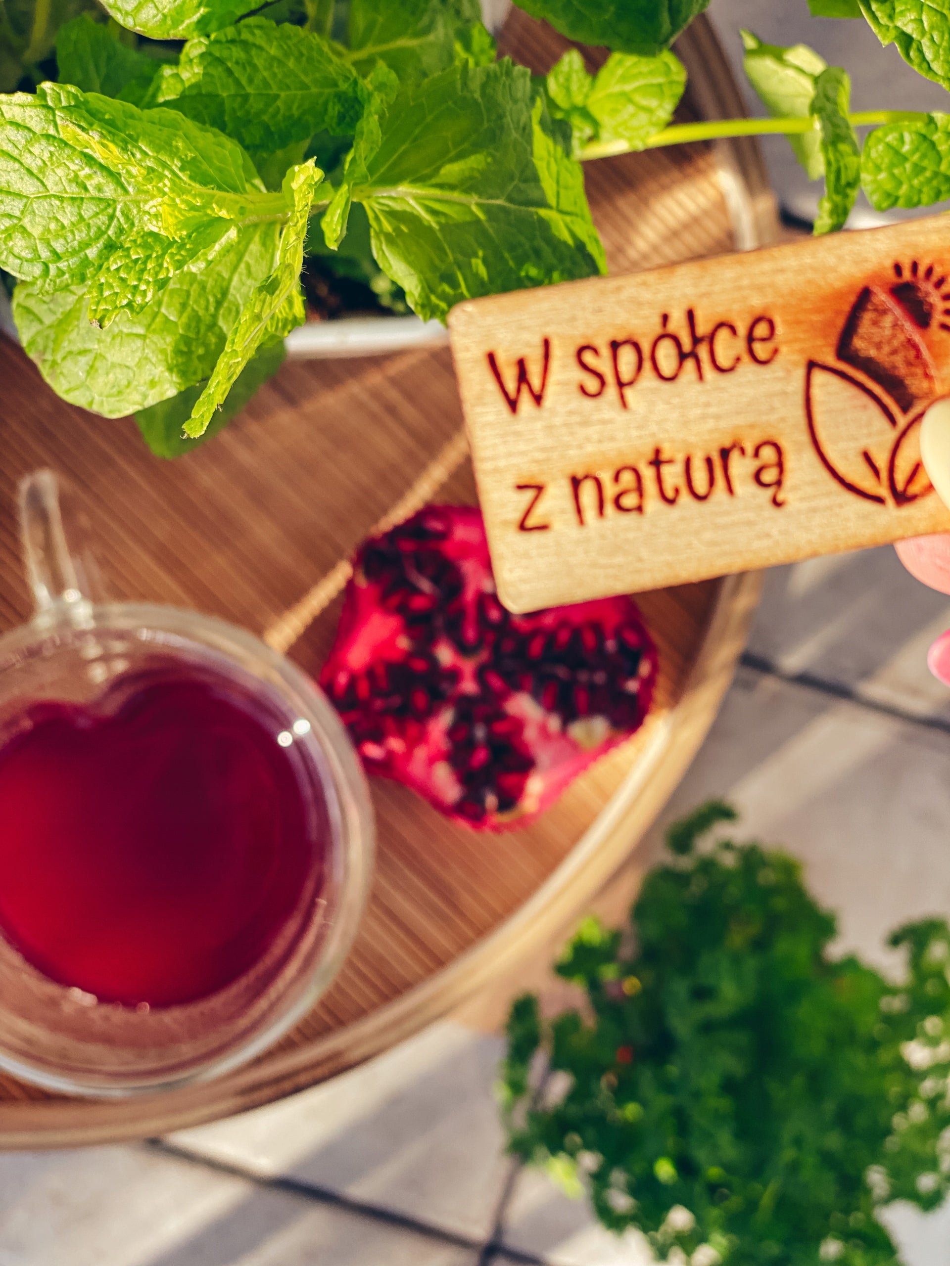 Pomegranate Juice Pressed Natural 100% NFC Juice Pomegranate 5 Liters Children Capacity 5000 ml