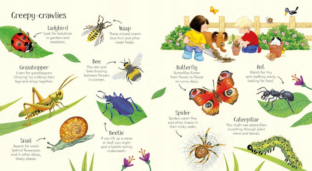 Poppy and Sam's Nature Spotting Book