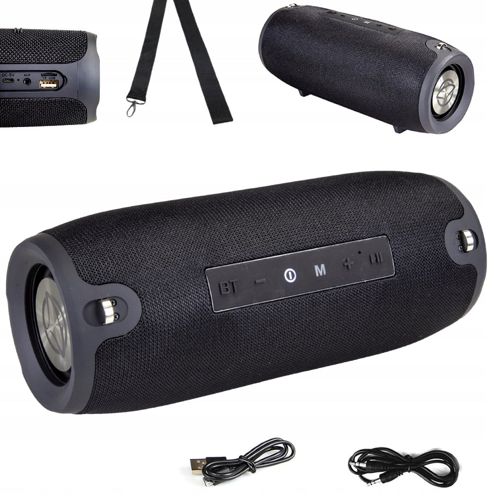 Portable Bluetooth Mobile Speaker with FM Radio Black 20W IPX4 TWS SPK15GO