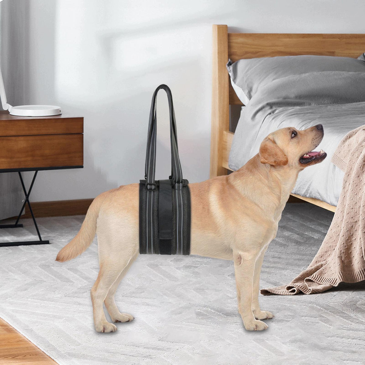 Portable Dog Lift Harness for Back Legs Soft Lining Transfer Assist Belt S