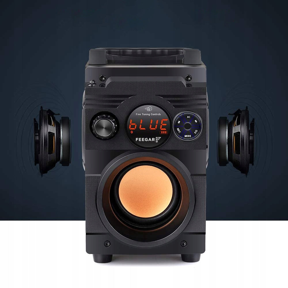 Portable Speaker Feegar Showjet 4000Mah Radio BT Color black