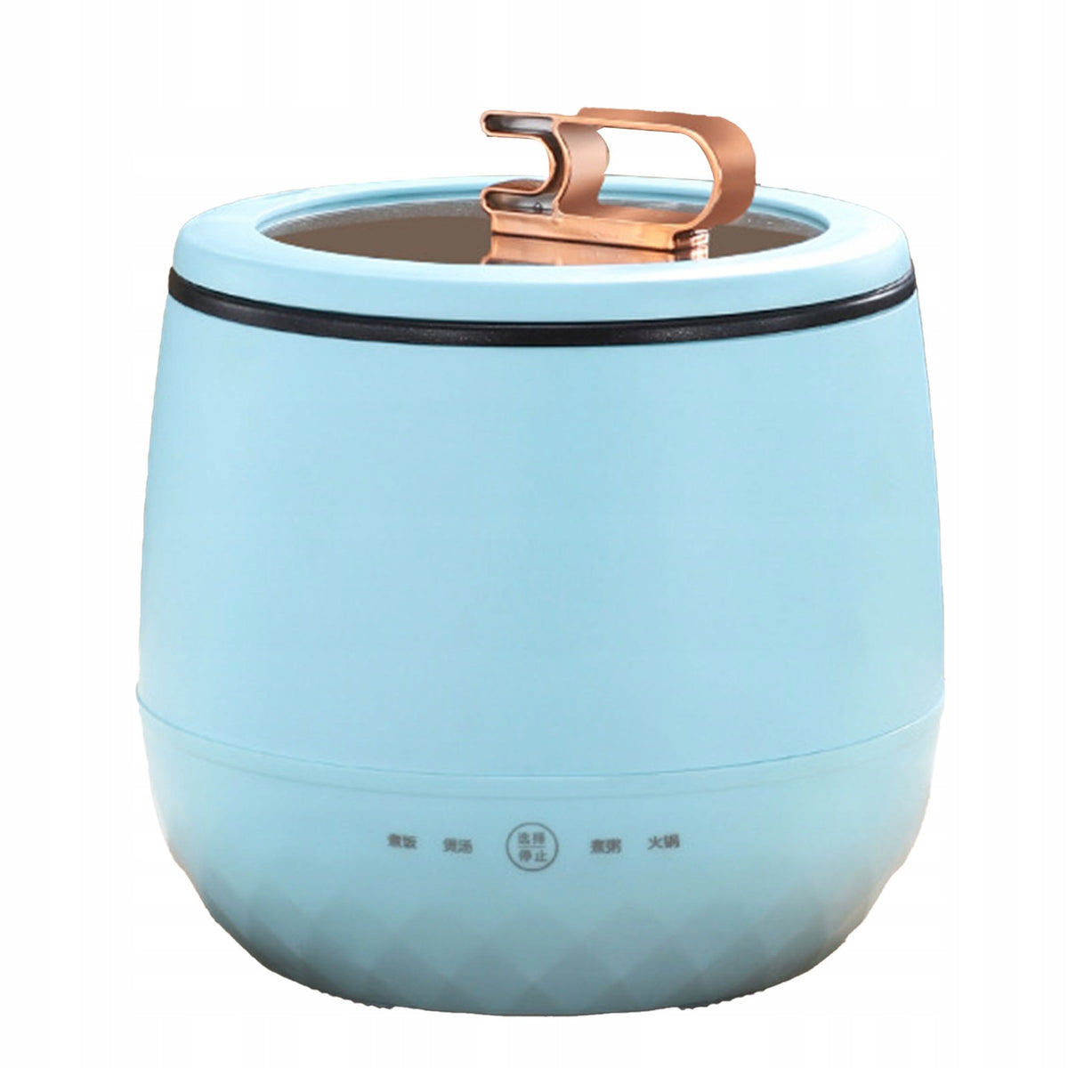 Portable Travel Cooker, Smart Control Mini Thermal Cooker with Large