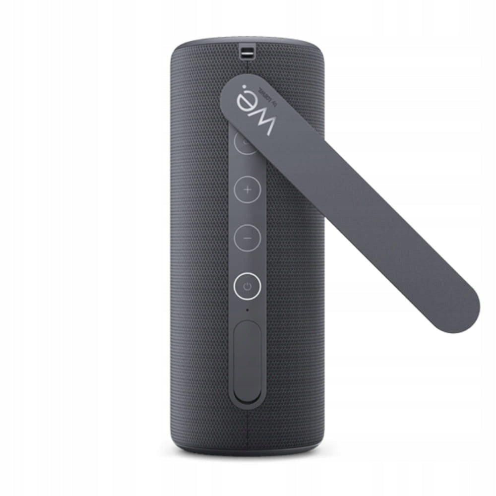 Portable speaker Loewe We. HEAR 1 storm grey Model other