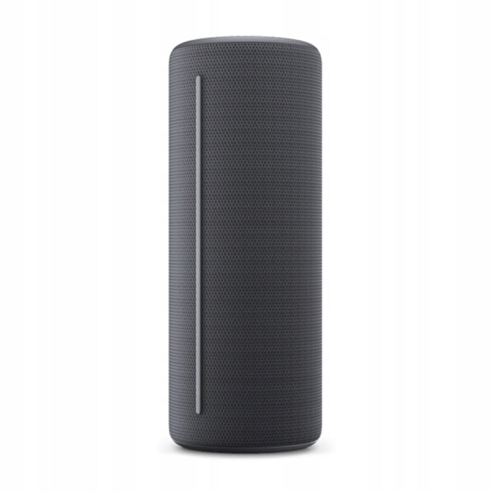 Portable speaker Loewe We. HEAR 1 storm grey Packaging status original