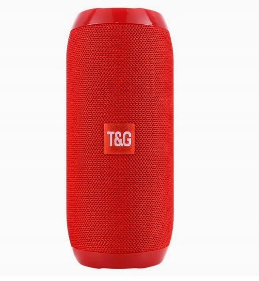 Portable speaker T&G TG-117 Bluetooth 10 W rechargeable FM radio