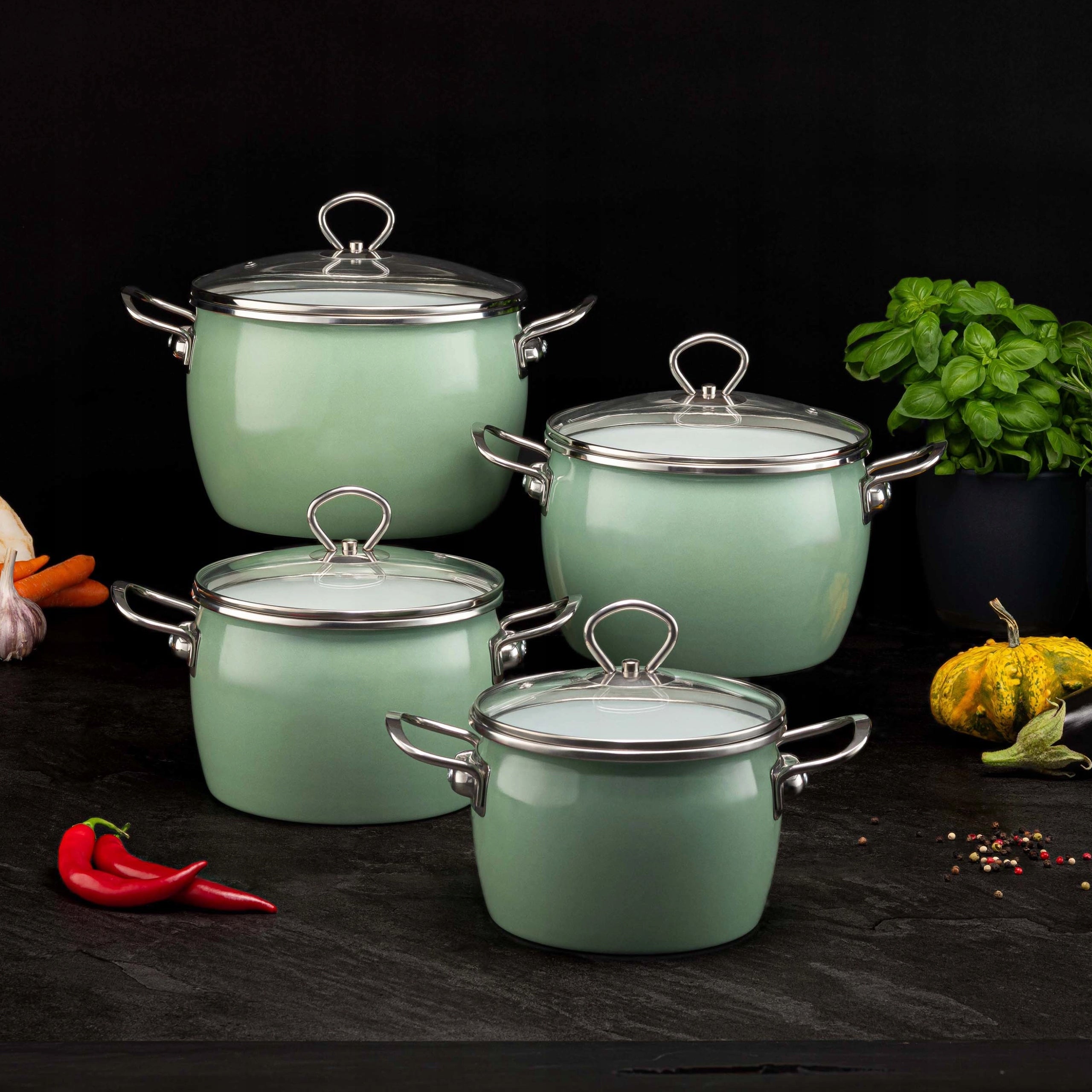 Pots La Bonita Naturale Enameled Induction Low Carbon Steel 8 elements Packaging status original