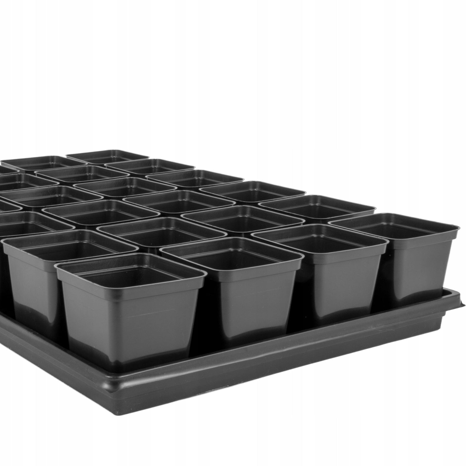 Pots with stand For sowing and seedlings Miniglass 24 pcs. 0,5l Length 60 cm