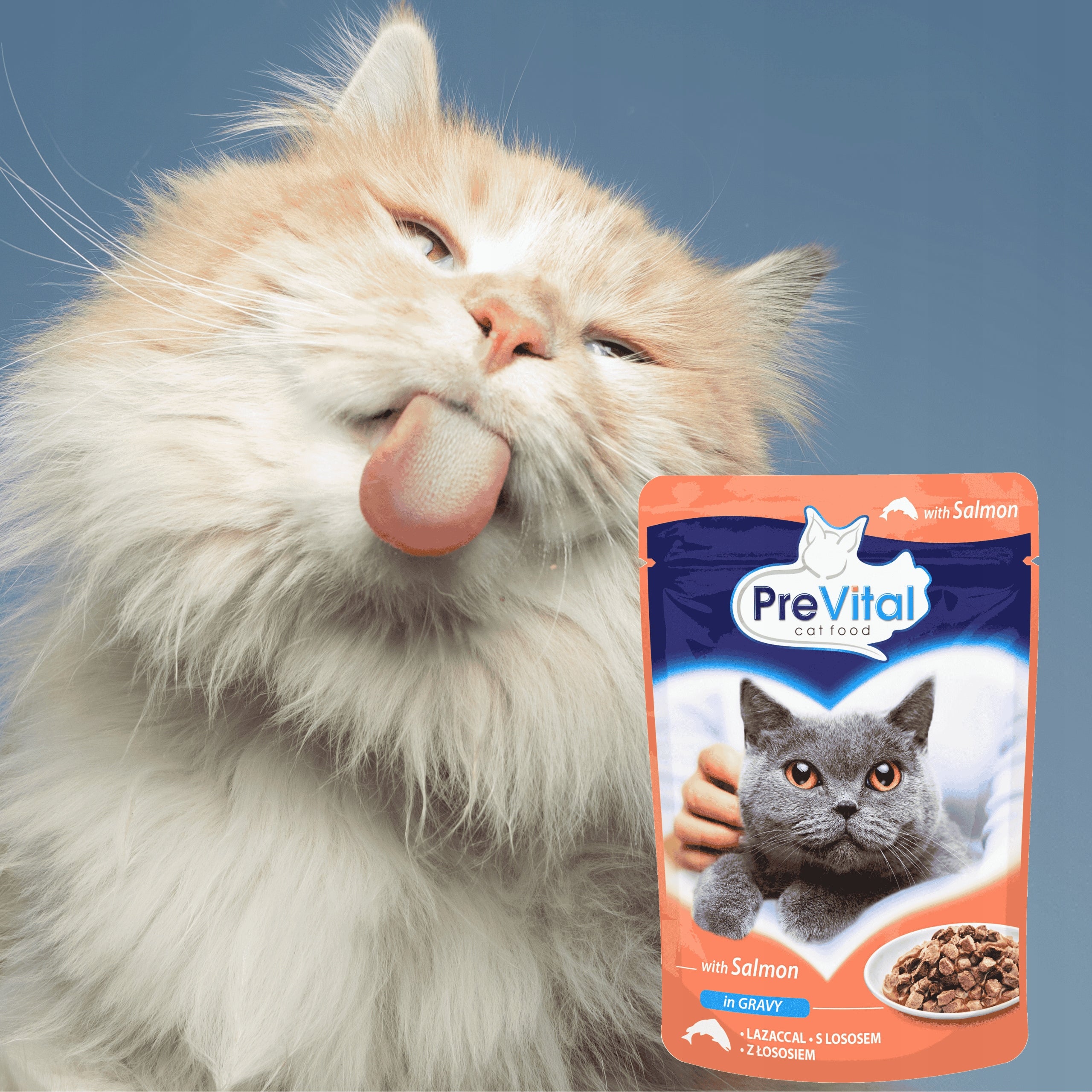 PreVital wet cat food sachet with salmon in sauce 100g Packaging status original