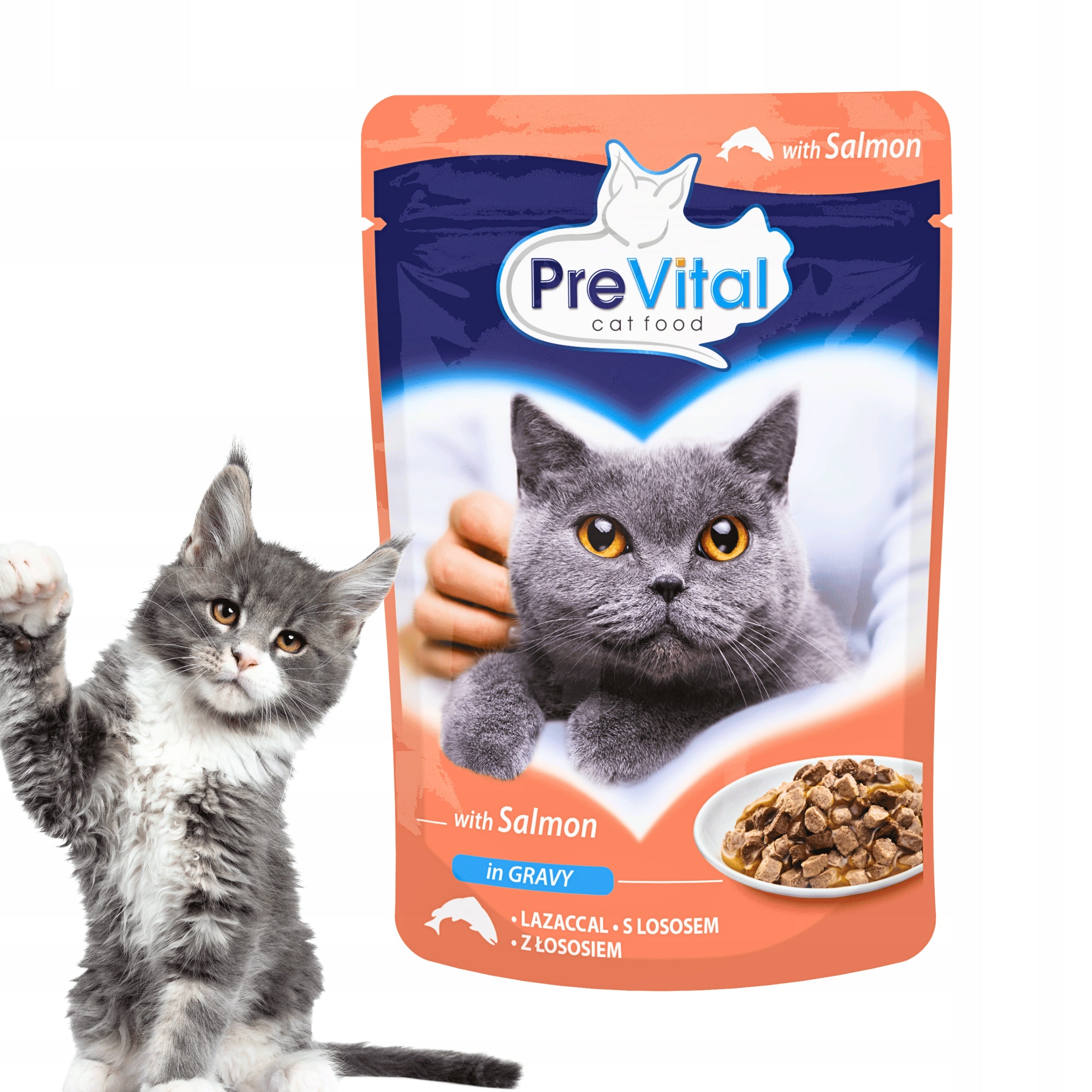 PreVital wet cat food sachet with salmon in sauce 100g