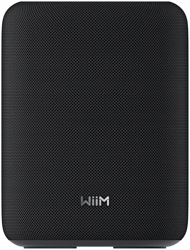 Prenosný reproduktor Wiim Sound Lite čierny 100 W