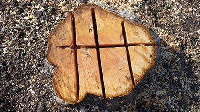 Preparation for the decomposition of trunks and roots 750ml effective biological mycelium Manufacturer code PDRP