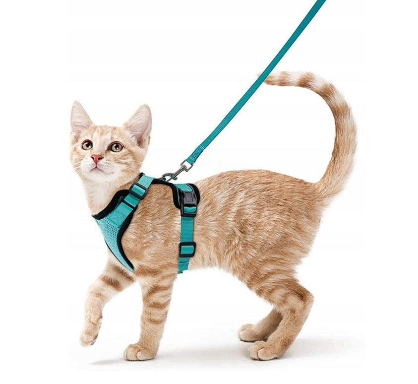 Pressure-Free Harness for Cat Dog with Lanyard Green ,M