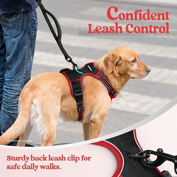 Pressure-Free Harness for Dog Rabbitgoo Roz. S Harness Adjustable Strong Packaging status original