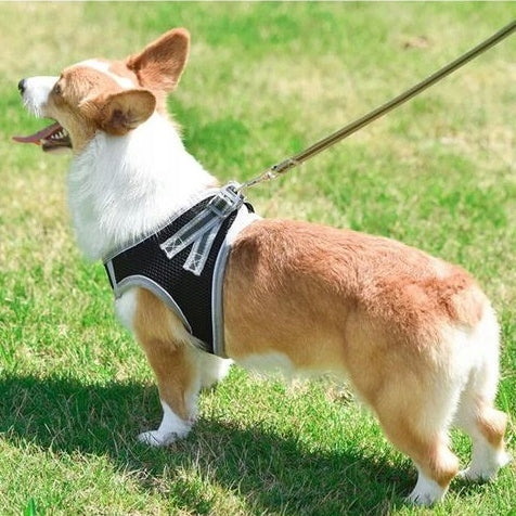 Pressure-Free Walking Harness Strong for Medium Dog Adjustable M + Leash Color blue