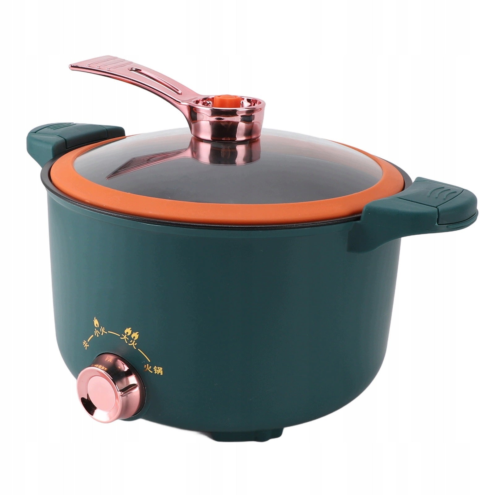 Pressure cooker micro 1000W 4L multifunctional electric cooker 92