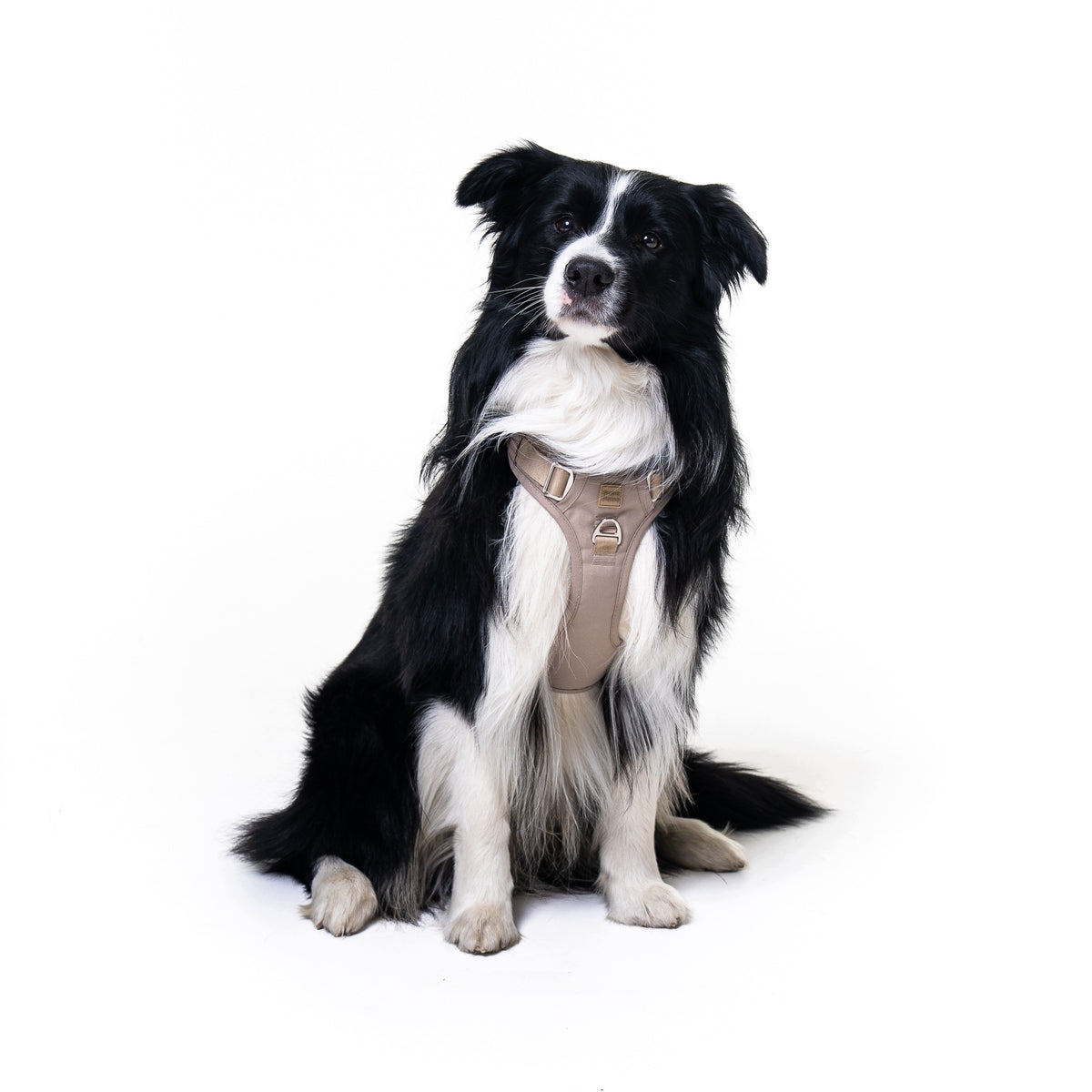 Pressure-free dog harness SUPA PAWS adjustable comfortable M beige Packaging status original