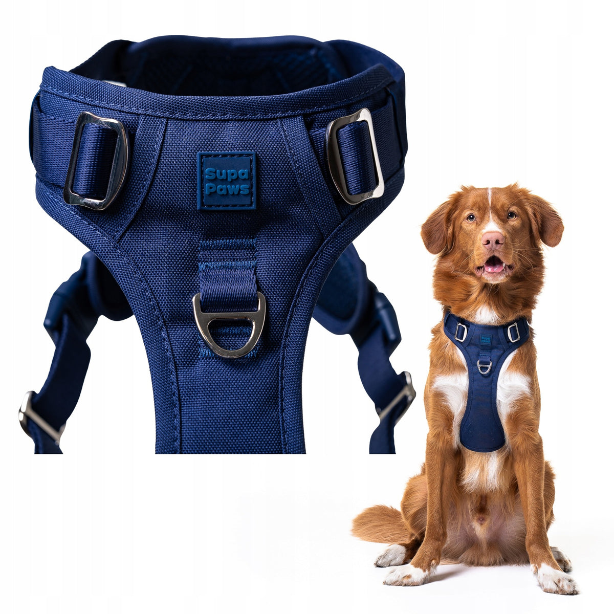 Pressure-free dog harness SUPA PAWS adjustable comfortable M blue