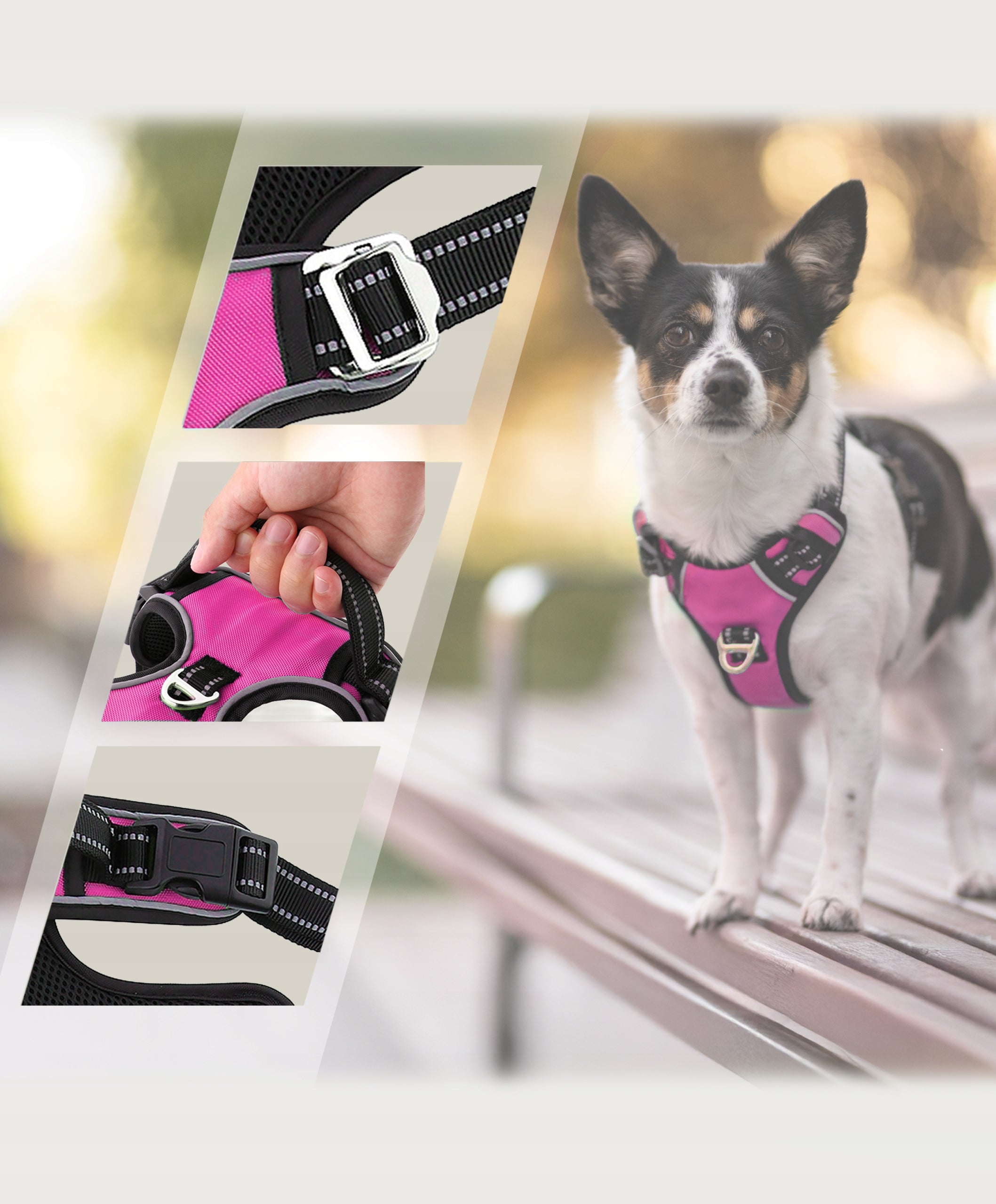 Pressure-free dog harness pink HUGGY DOGGY dachshund shih tzu pug jack S Manufacturer code Szelki dla psów HUGGY DOGGY Walky Guard