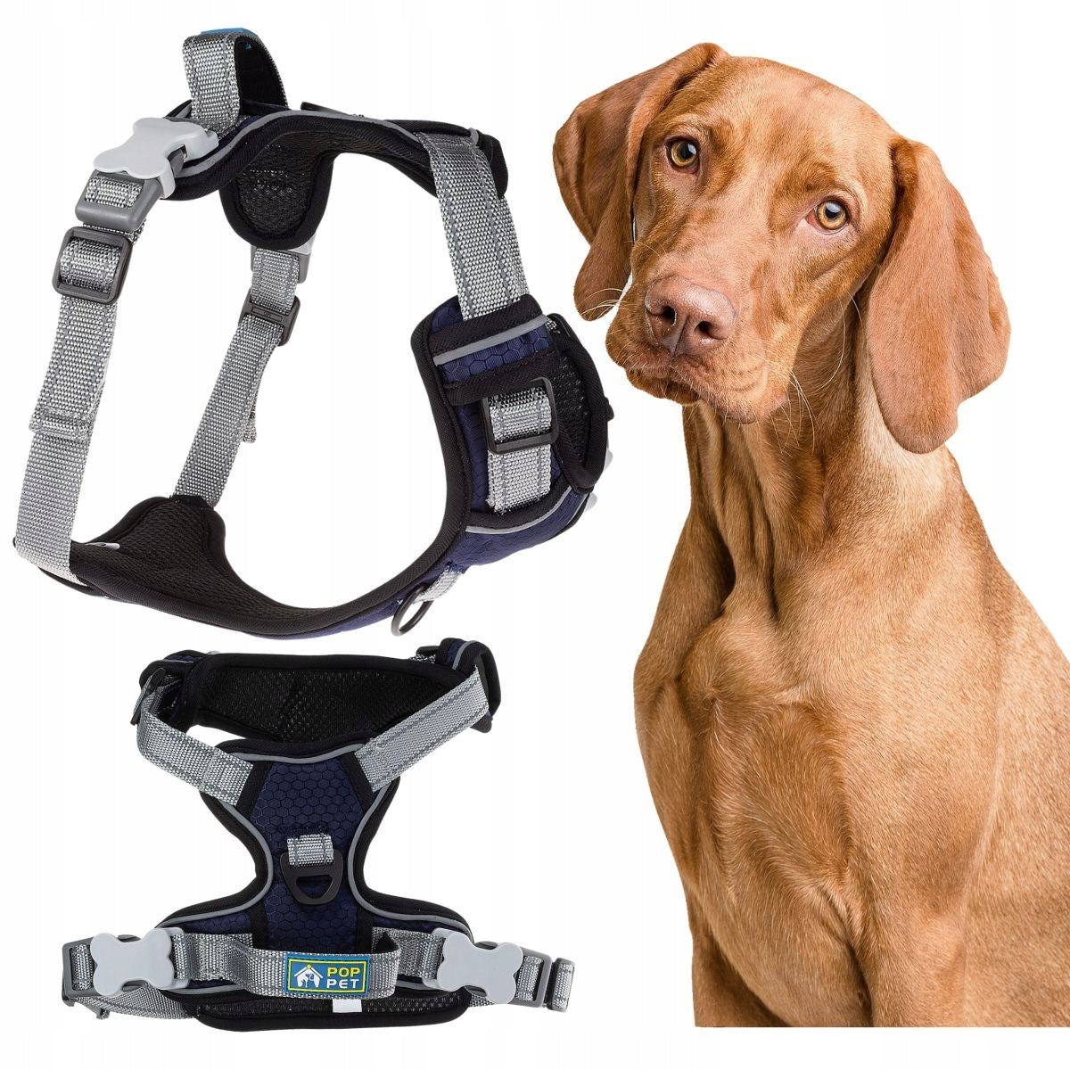 Pressure-free dog harness with handle type GUARD L NAVY BLUE