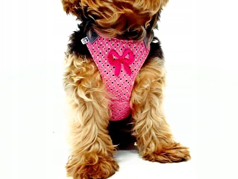 Pressure-free harness Pelo for cat Adjustable Mesh 2 Buckles OPENWORK ROSES r.1 XXS