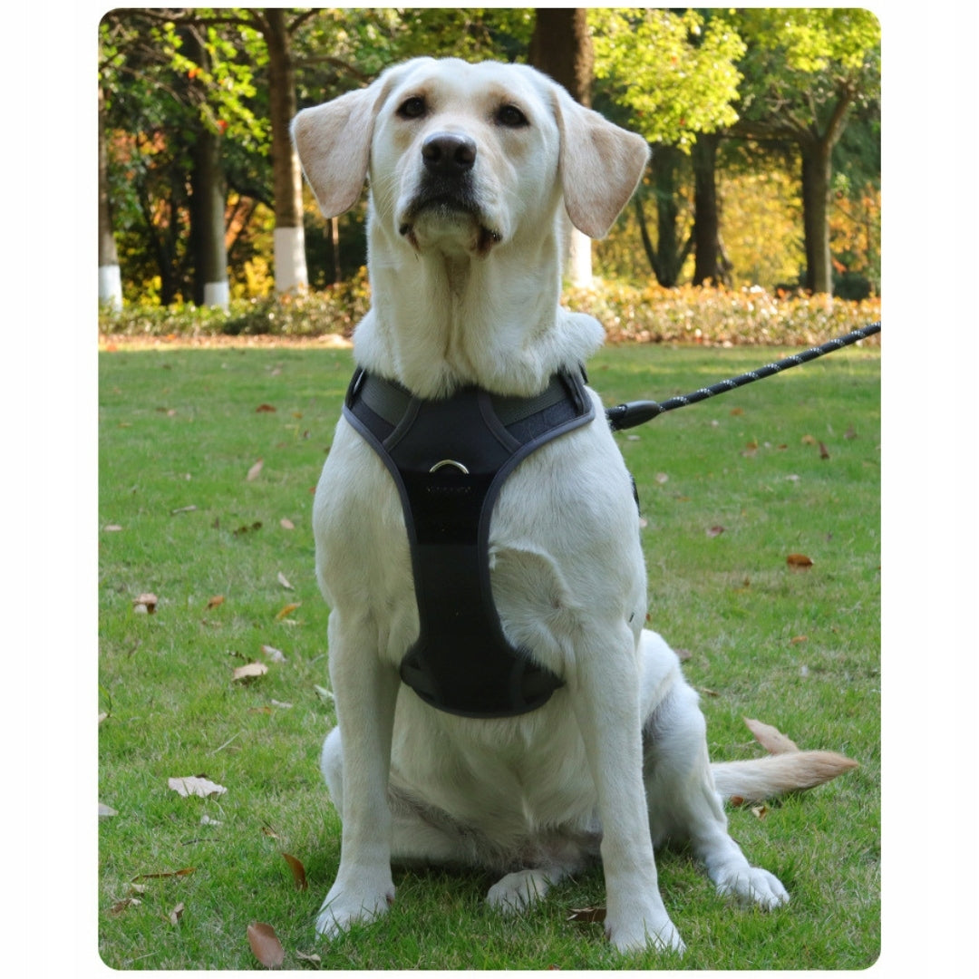 Pressure-free harness Woofy walking adjustable extra large dog XL reflectors Trade name PROFESJONALNE SZELKI BEZUCISKOWE SPACEROWE REGULOWANE DLA PSA ROZMIAR