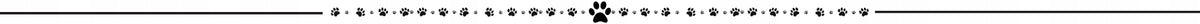 Pressure-free harness Woofy walking adjustable for small dog S with reflectors Manufacturer code E0062