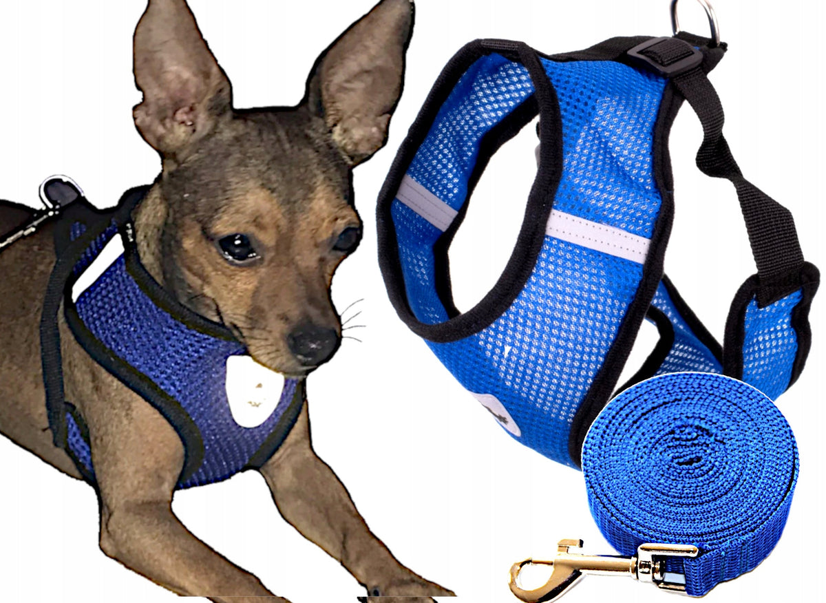 Pressure-free harness for dogs + XL leash
