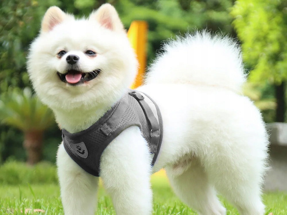 Pressure-free walking harness for rabbit cat dog soft strong reflective m Manufacturer code 19442_M_SZ