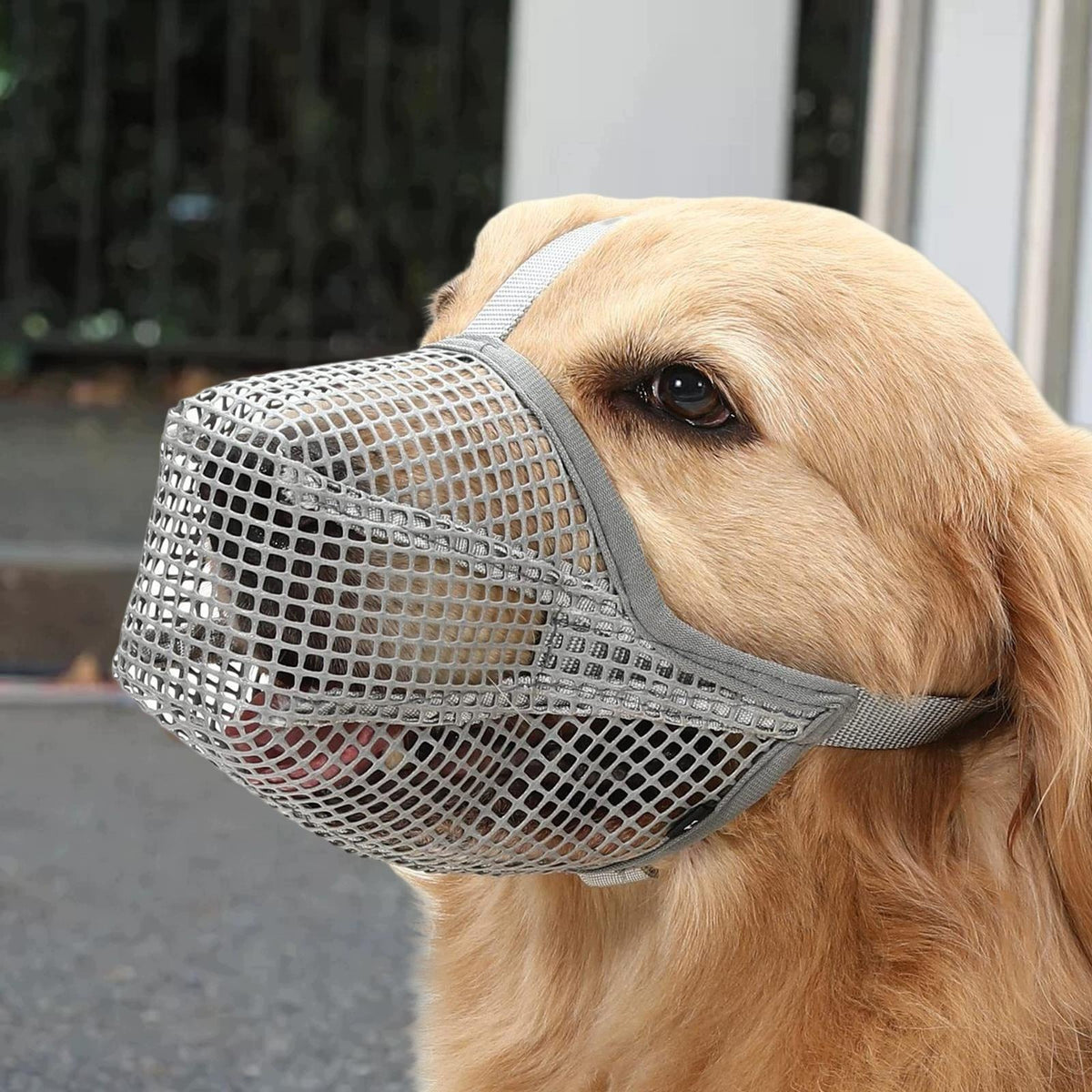 Prevent Biting Chewing Soft Portable Protective Cage Dog Muzzles Gray XL