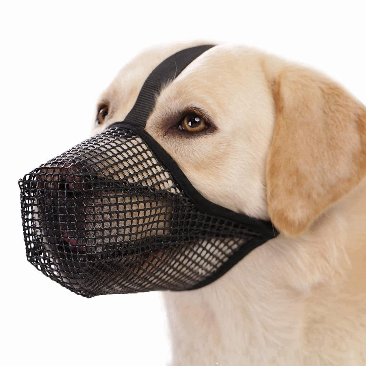 Prevents Biting, Chewing, Adjustable Cage Muzzle, Black Medium