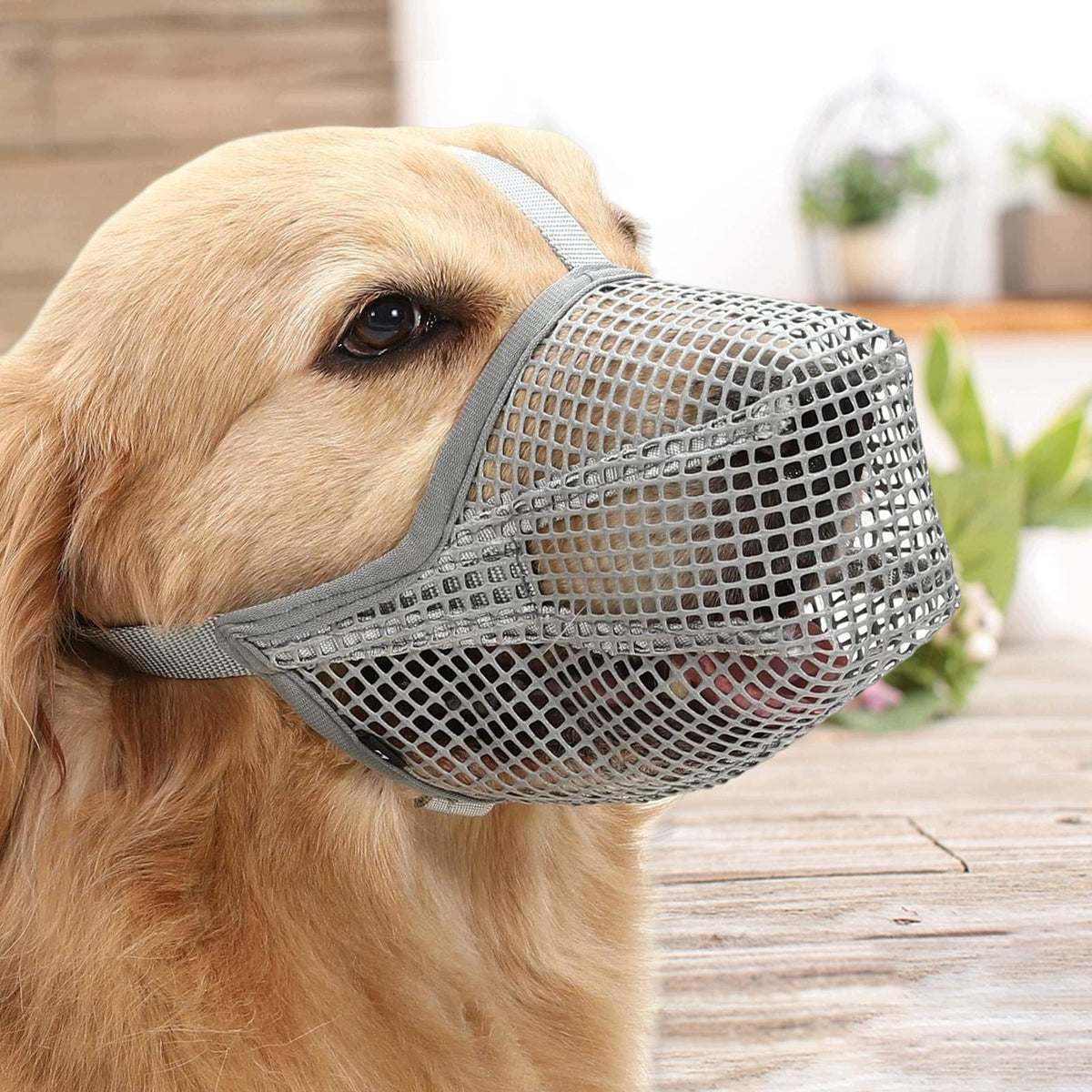Prevents Biting, Chewing, Adjustable Cage Muzzle, Comfortable Gray Medium