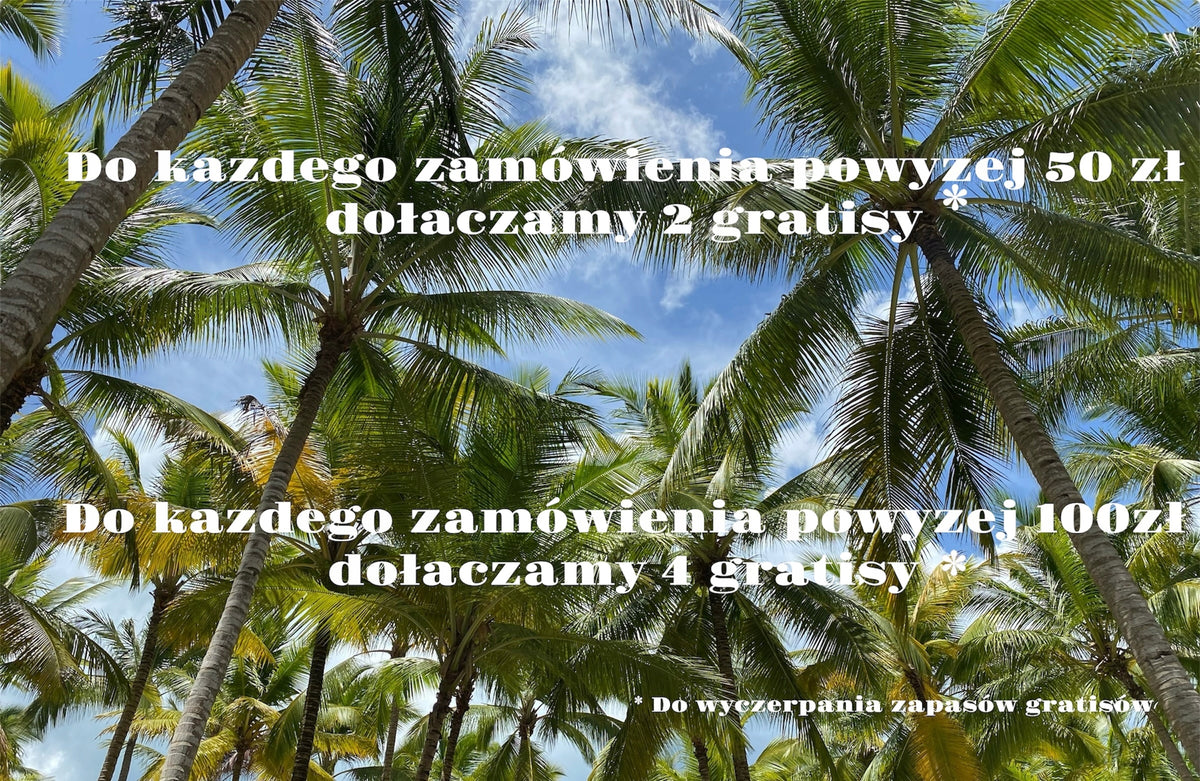 Prime3 Soul Głośnik Bezprzewodowy BT/AUX/MP3/FM Batteries included yes
