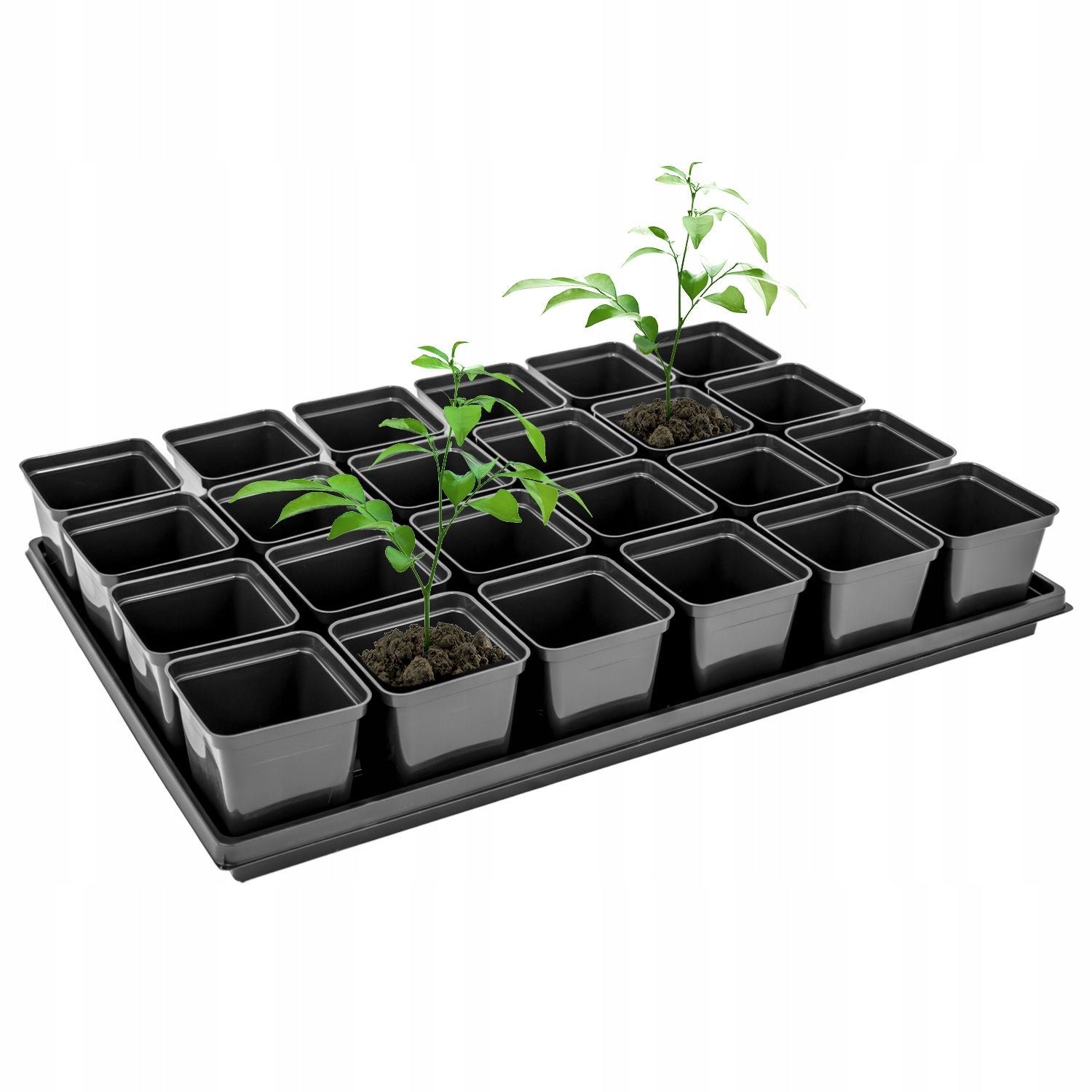 Production pots for seeding and seedlings SR0.5 24 pcs. with stand 0,5 l