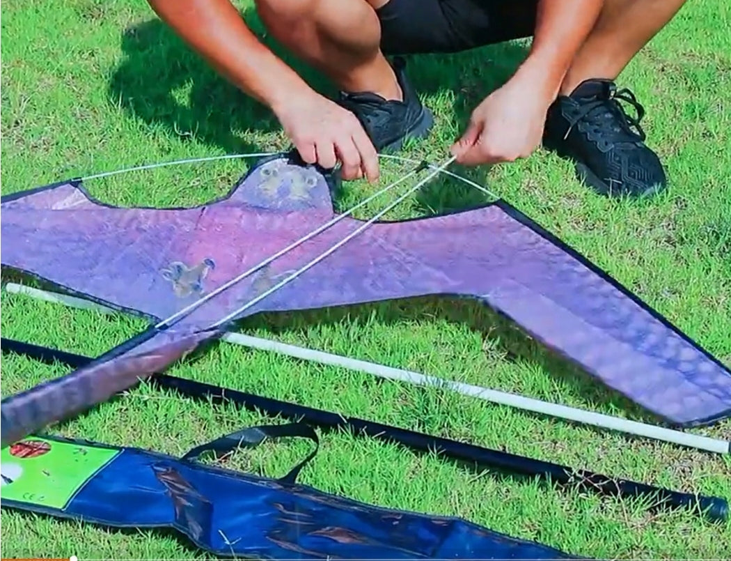 Professional Bird Repellent KITE falcon EAGLE + YOU HAVE 6m + SWIVEL Manufacturer code KITE 150-120