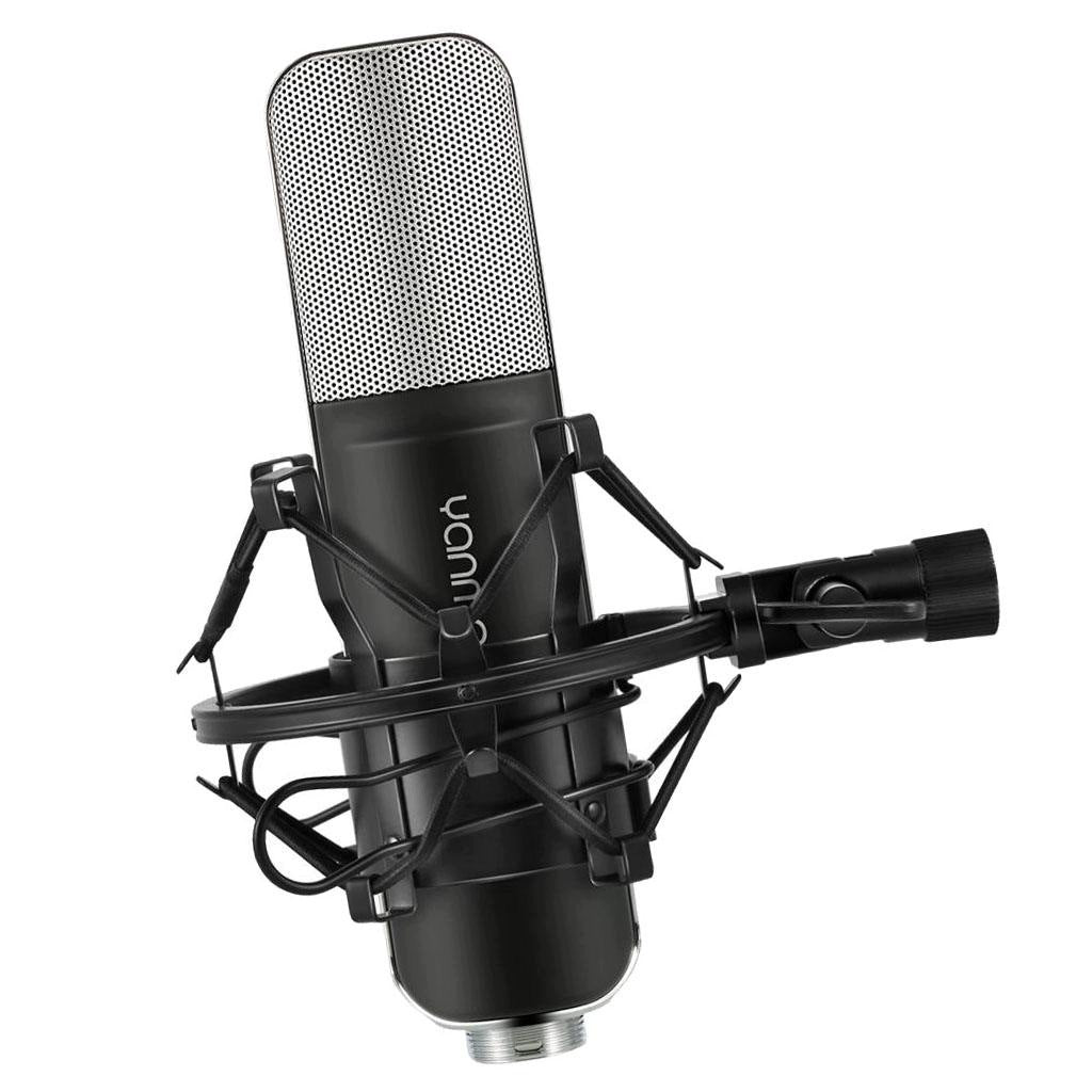 Professional Condenser Studio Broadcast & Recording Microphone +Shock Mount