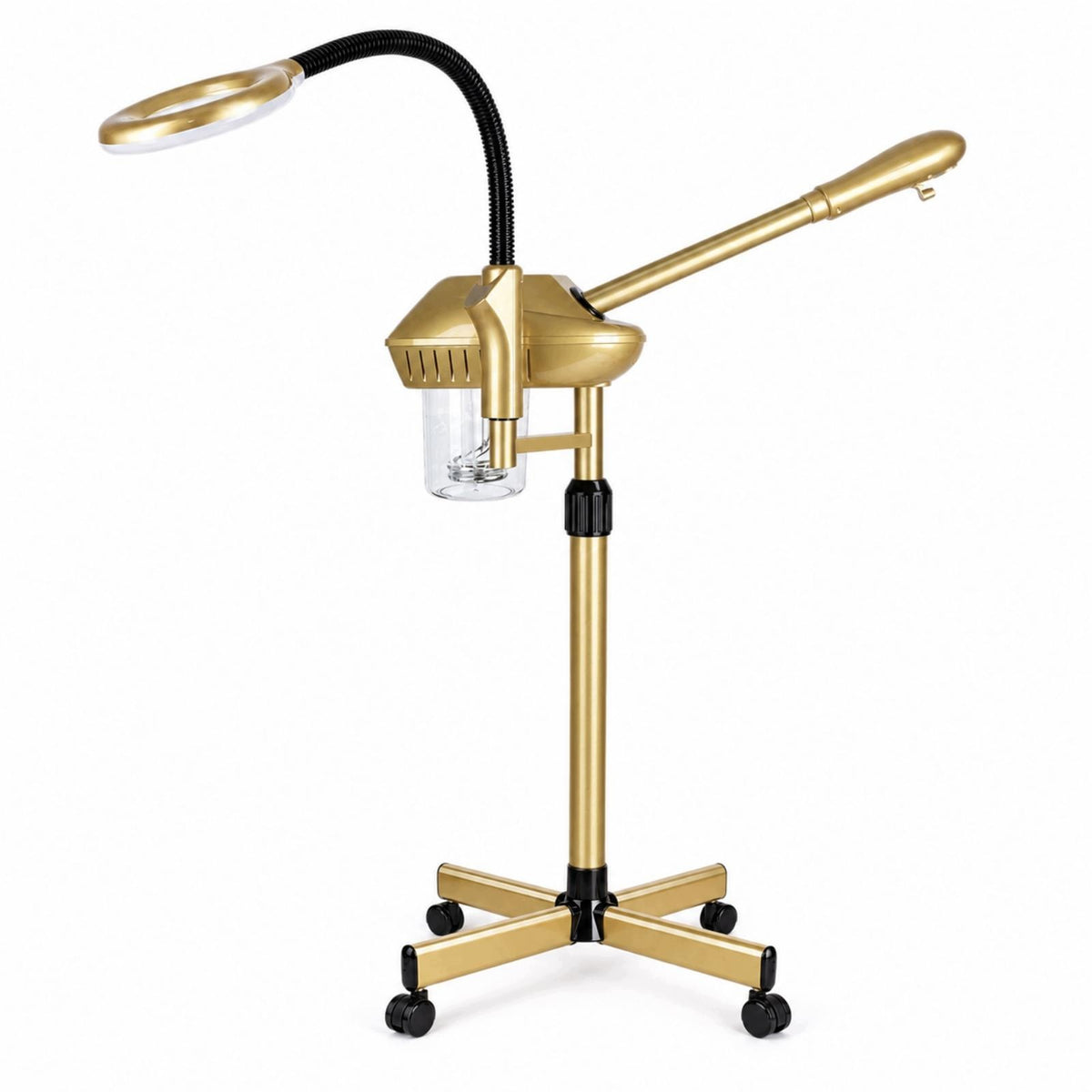 Professional Facial Steamers with Light Facial Steam Sprayer for Face