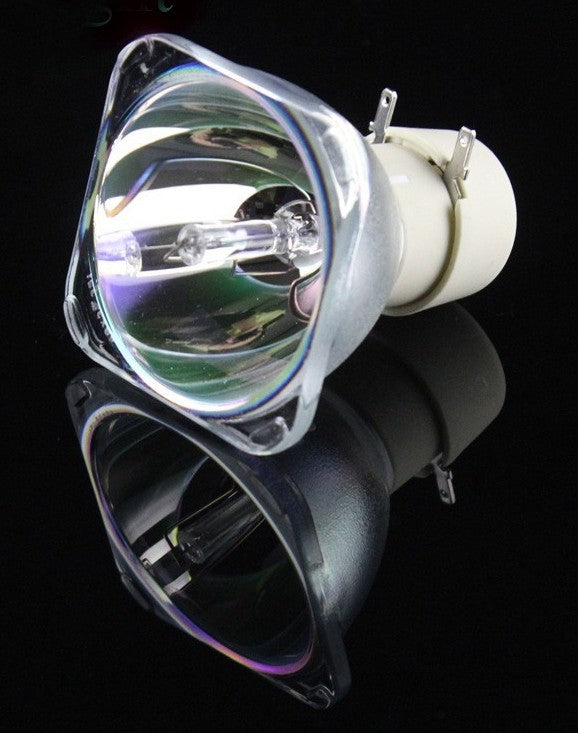Projector Lamp EP4227 Compatible with MS614 MS615 MX613ST MX613STLA MX615 MX615+ MX615-V MX660P MX710 Projectors Manufacturer code LAMPOPROJEKT4