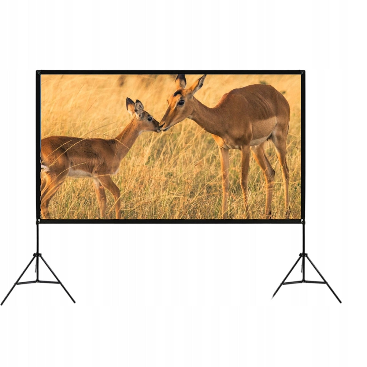 Projector Screen Foldable Full Hd Anti-Wrinkle For Home Model Ekran projektora