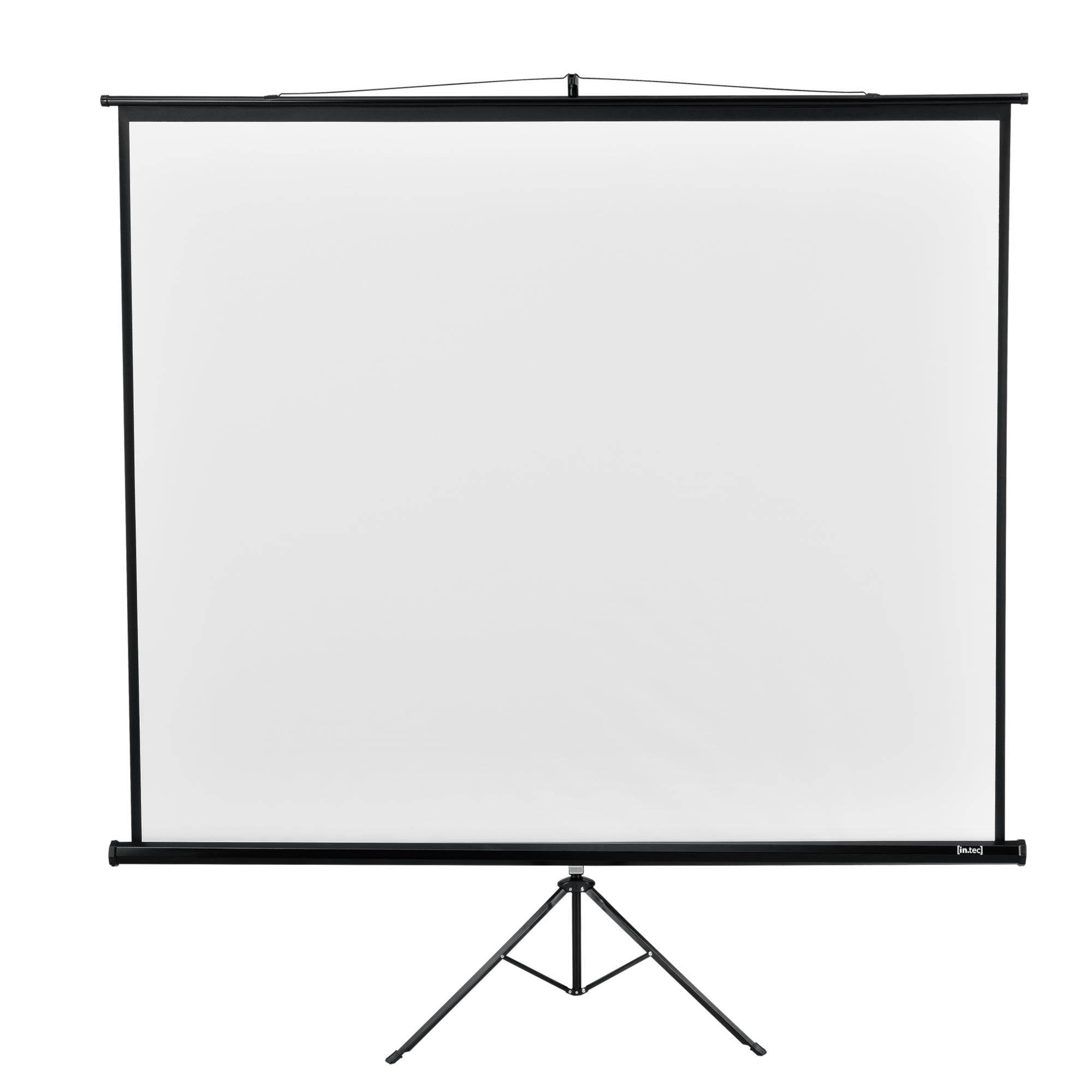 Projector screen with tripod 113 inches 290x216x65cm