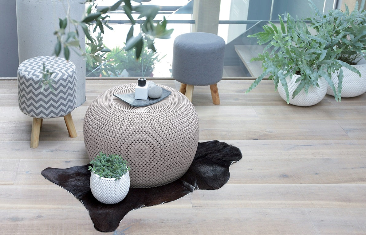 Splofy Bowl 