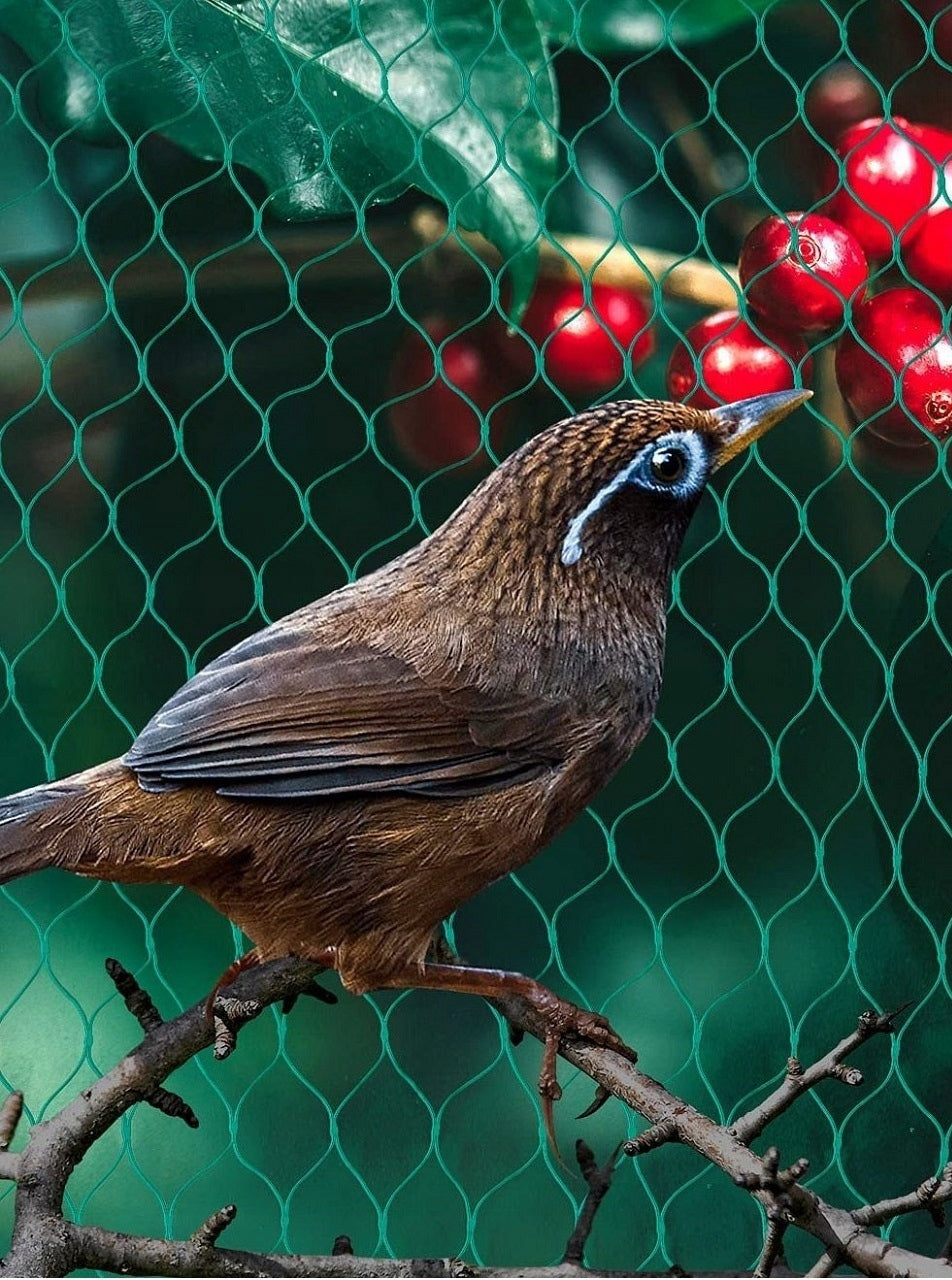 Protective Mesh Against Birds for Starlings LARGE 8x14 Certificates of conformity CE