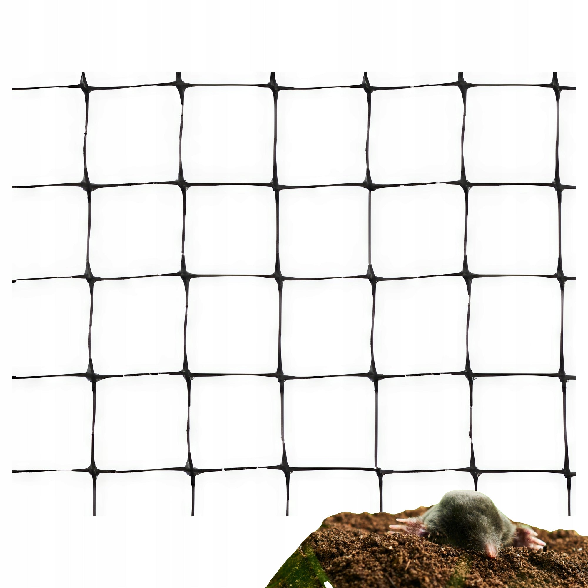 Protective net for shrub trees and against MOLES 2m x 10mb Manufacturer code Siatka 2mx10mb