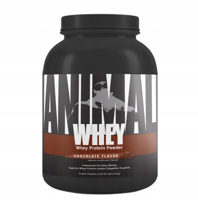 Protein Conditioner Universal Nutrition Protein Blend Chocolate Powder Brand Universal Nutrition