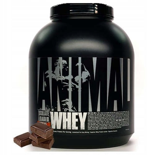 Protein Conditioner Universal Nutrition Protein Blend Chocolate Powder Expiration date not specified