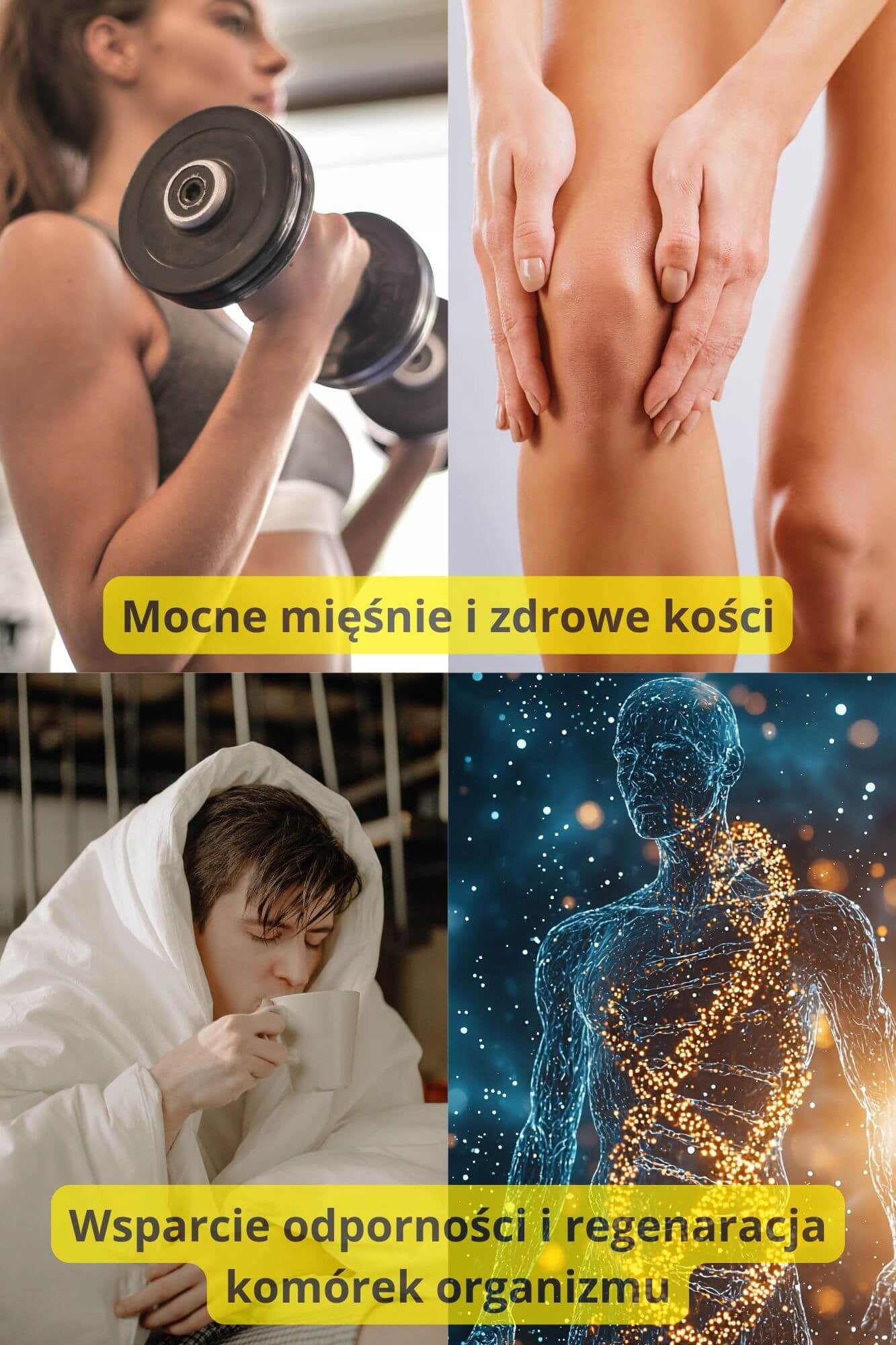 Proton Labs VITAMIN D3 FORTE 4000 IU MICRONIZED Vegetable 120 KAPS Manufacturer code vitamin-d3-4000IU