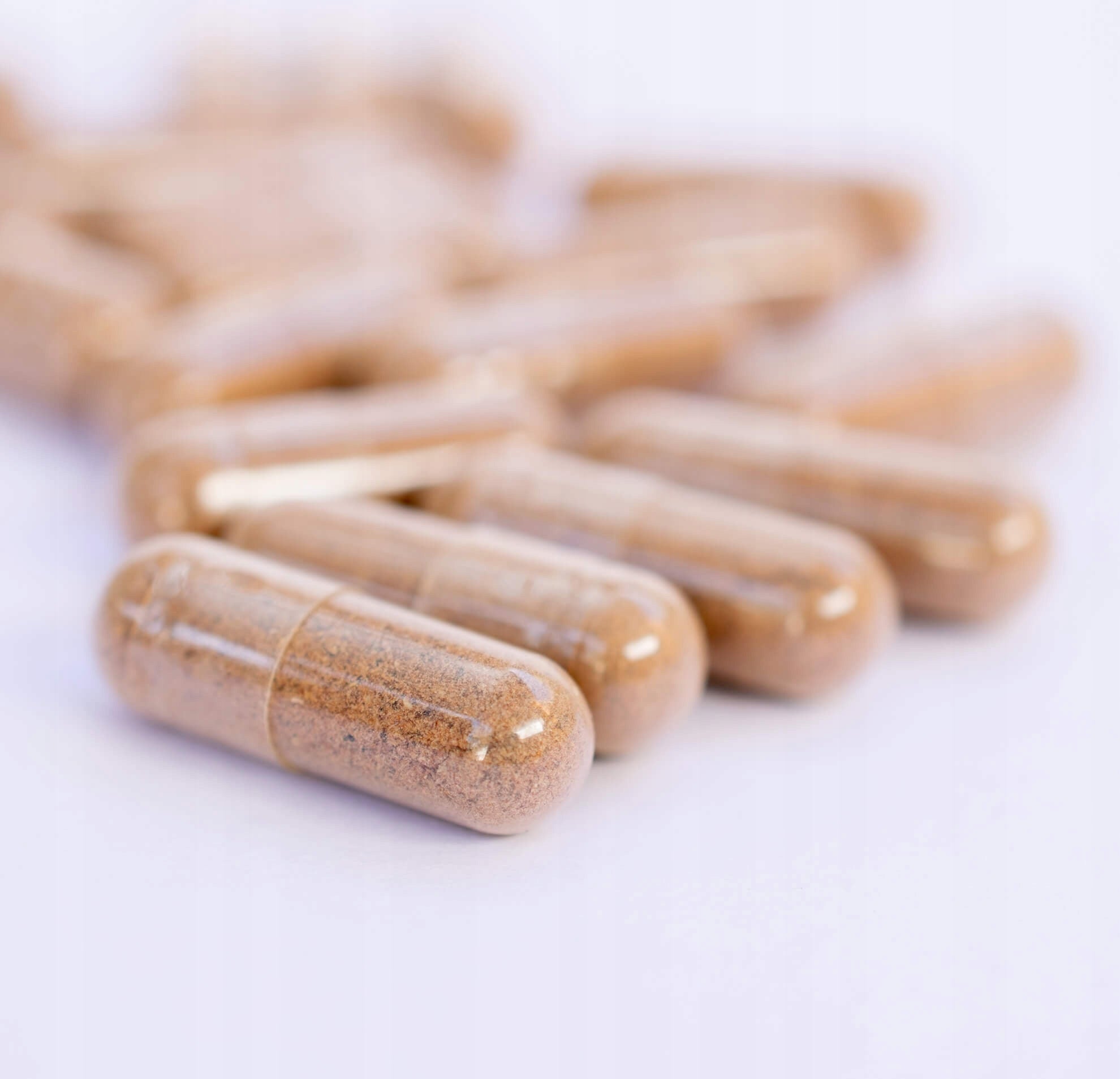 ProtonLabs TRIBULUS 10:1 Mace MAX 95% saponins LIBIDO testosterone 100k Expiration date at least 1 year from the date of purchase