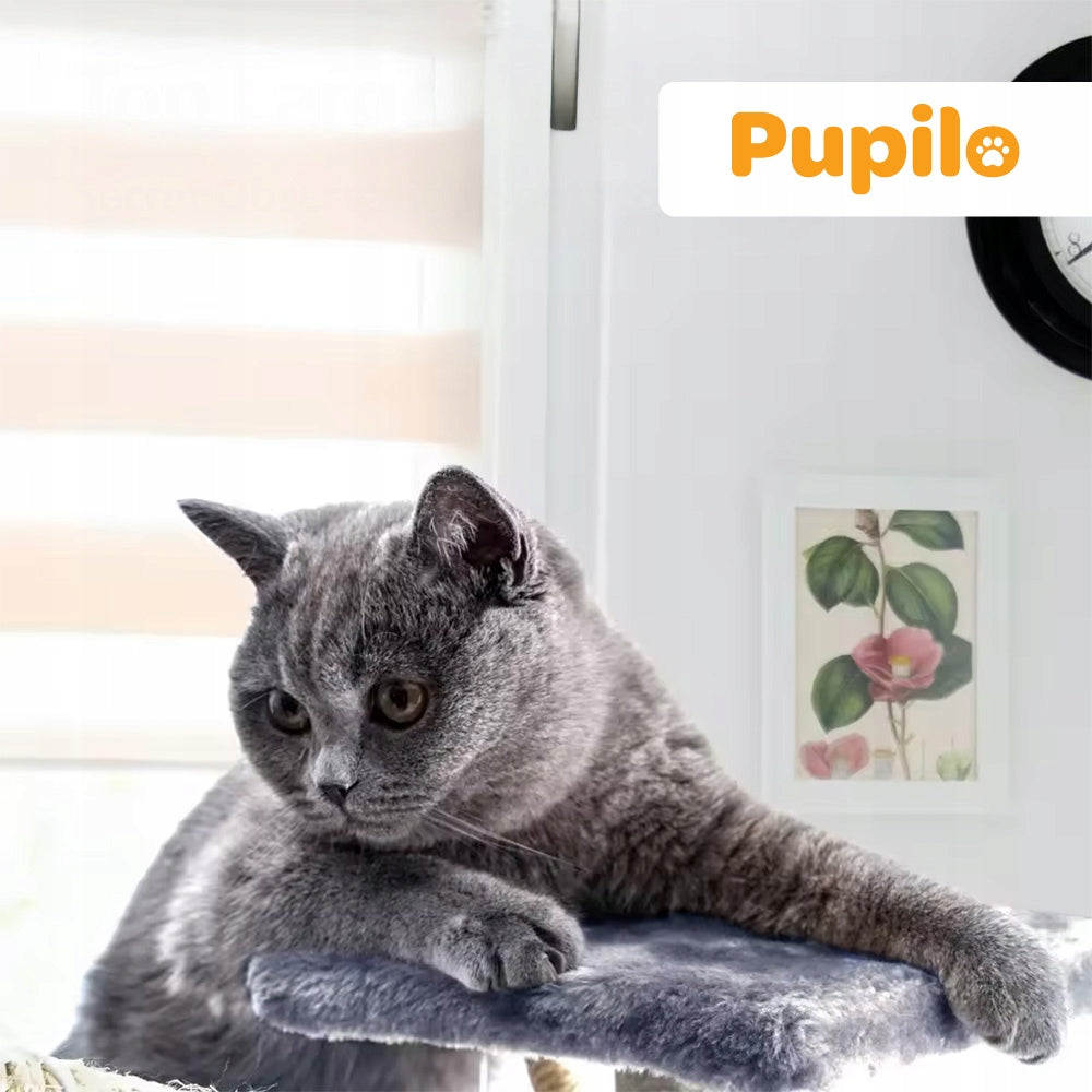 Pupilo Cottage Scratcher Bed Hammock Ladder For Cat Toys 5 Levels Trade name Drapak Dla Kotów Legowisko z Zabawkami