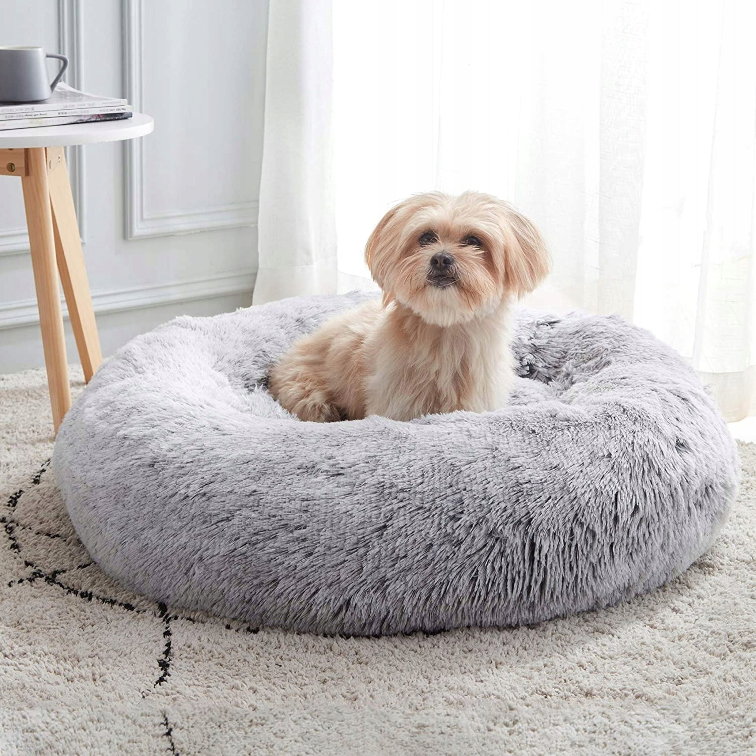 Purlov dog bed grey 60 cm x 60 cm Color gray