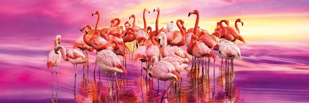 Puzzle Clementoni „Tanz der Flamingos“, 1000 d. 