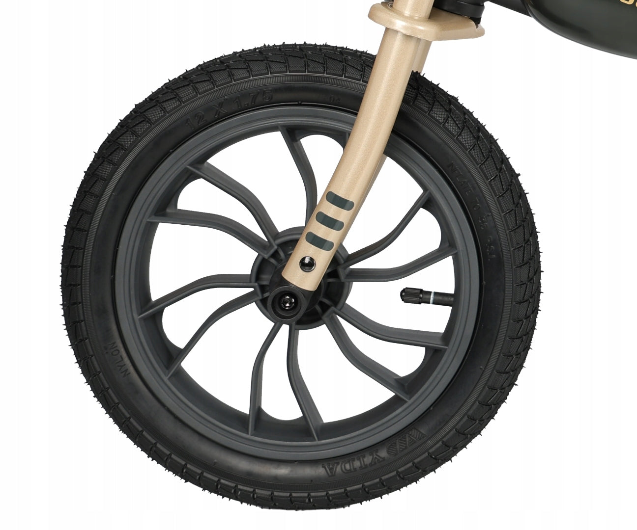 Qplay Feduro Black-Golden Balance Bike Weight 4 kg